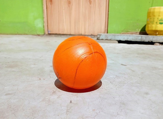 组成部分 组成部分